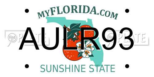 AULR93 Florida License Plate