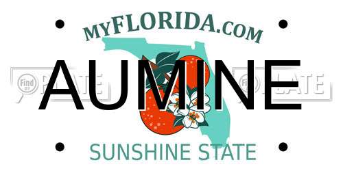 AUMINE Florida License Plate