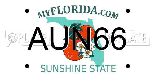 AUN66 Florida License Plate