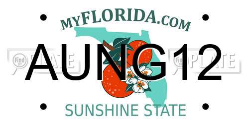 AUNG12 Florida License Plate