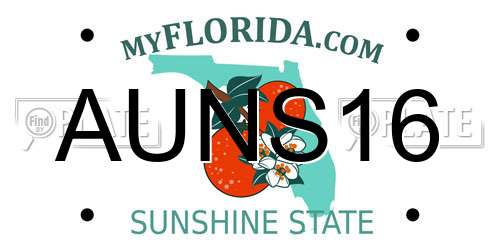 AUNS16 Florida License Plate