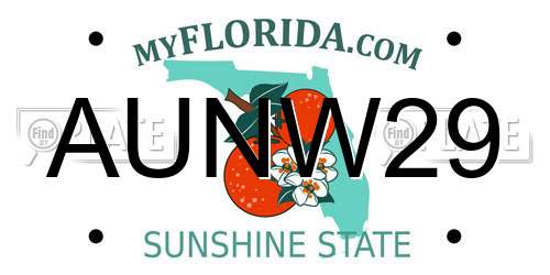 AUNW29 Florida License Plate