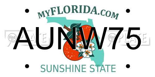 AUNW75 Florida License Plate