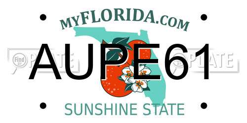 AUPE61 Florida License Plate
