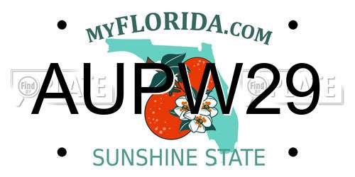 AUPW29 Florida License Plate