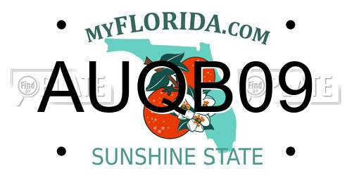 AUQB09 Florida License Plate
