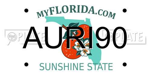 AURI90 Florida License Plate