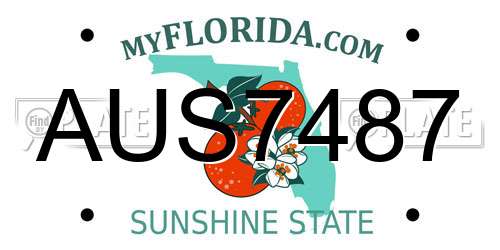 AUS7487 Florida License Plate