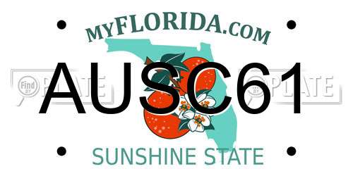 AUSC61 Florida License Plate