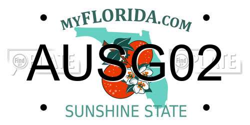AUSG02 Florida License Plate