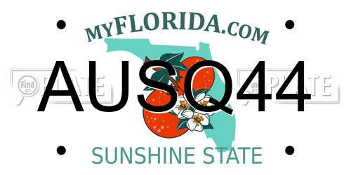AUSQ44 Florida License Plate