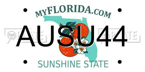 AUSU44 Florida License Plate