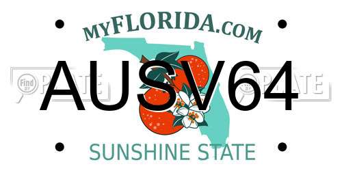 AUSV64 Florida License Plate