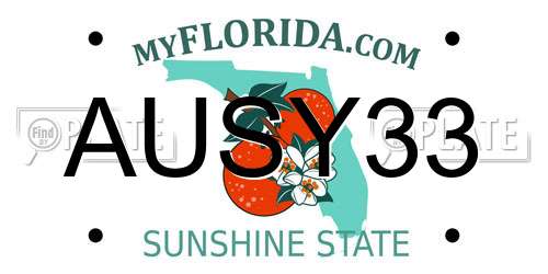 AUSY33 Florida License Plate