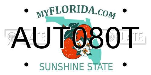 AUT080T Florida License Plate