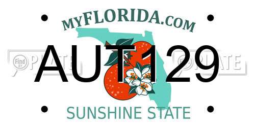 AUT129 Florida License Plate