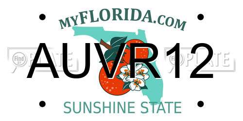 AUVR12 Florida License Plate
