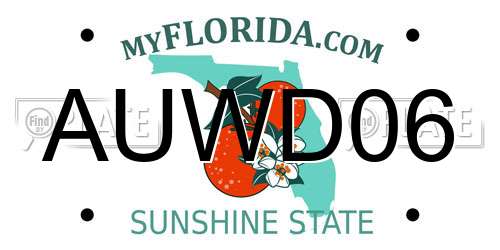 AUWD06 Florida License Plate