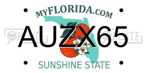 AUZX65 Florida License Plate