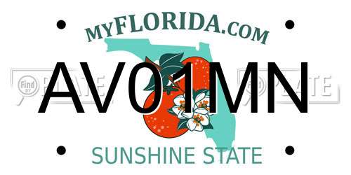 AV01MN Florida License Plate