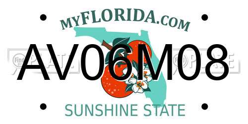 AV06M08 Florida License Plate