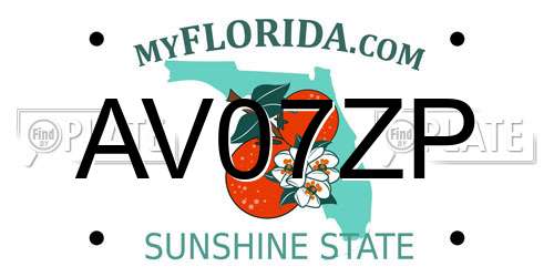 AV07ZP Florida License Plate