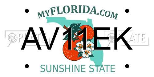 AV11EK Florida License Plate