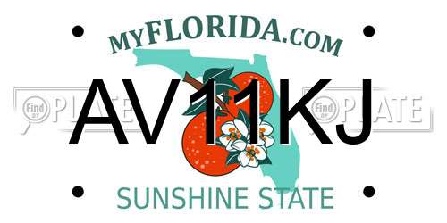 AV11KJ Florida License Plate