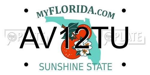 AV12TU Florida License Plate