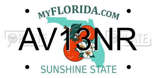 AV13NR Florida License Plate