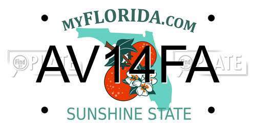 AV14FA Florida License Plate