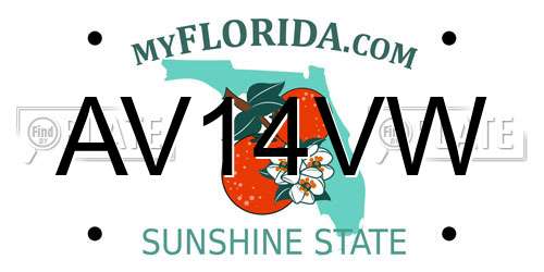 AV14VW Florida License Plate