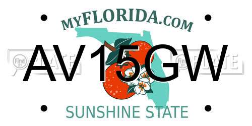 AV15GW Florida License Plate
