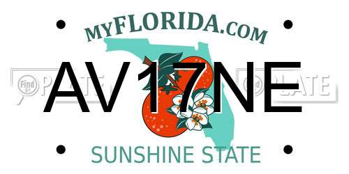 AV17NE Florida License Plate