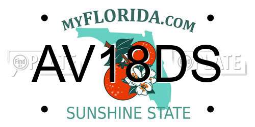AV18DS Florida License Plate