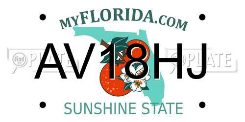 AV18HJ Florida License Plate