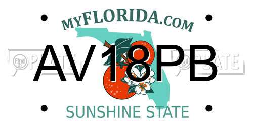 AV18PB Florida License Plate