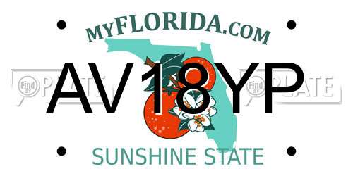 AV18YP Florida License Plate