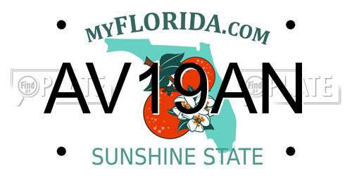 AV19AN Florida License Plate