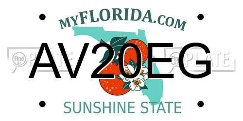 AV20EG Florida License Plate