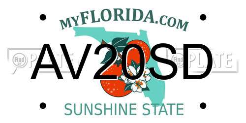 AV20SD Florida License Plate