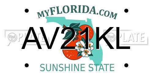 AV21KL Florida License Plate