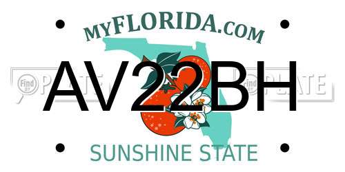 AV22BH Florida License Plate