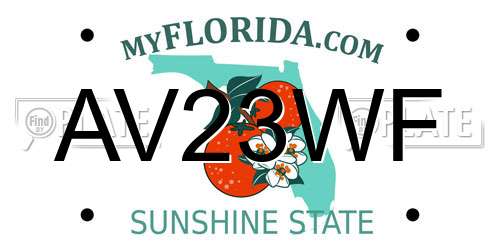 AV23WF Florida License Plate