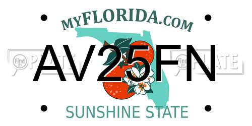 AV25FN Florida License Plate