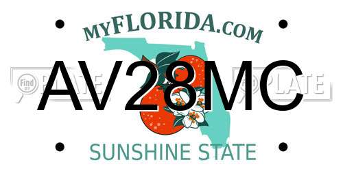 AV28MC Florida License Plate