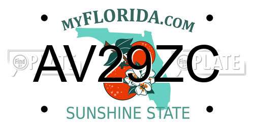 AV29ZC Florida License Plate