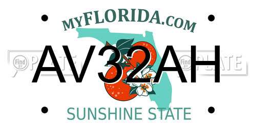 AV32AH Florida License Plate