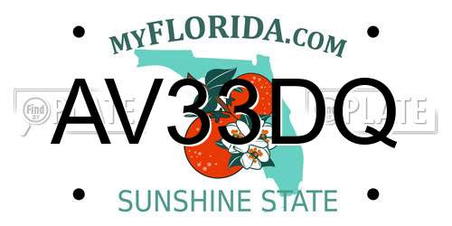 AV33DQ Florida License Plate