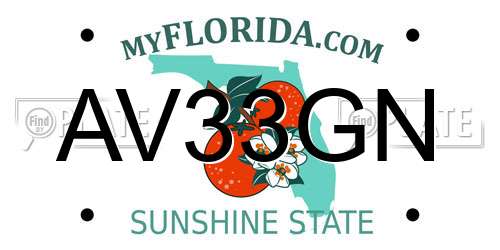 AV33GN Florida License Plate